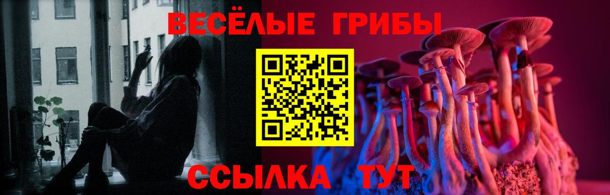 Звенигород  Псилоцибиновые грибы GOLDEN TEACHER  Вход с VPN 